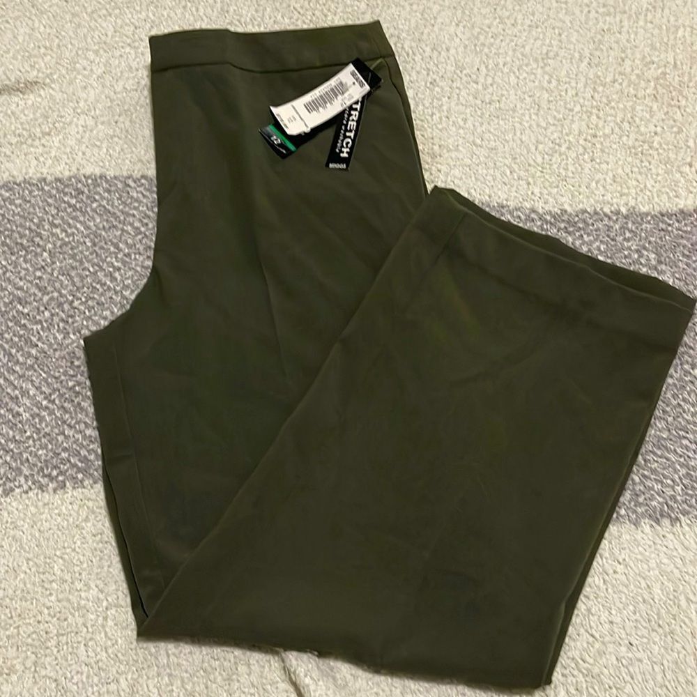 NWT- Briggs - 12. Contour Waist Pant